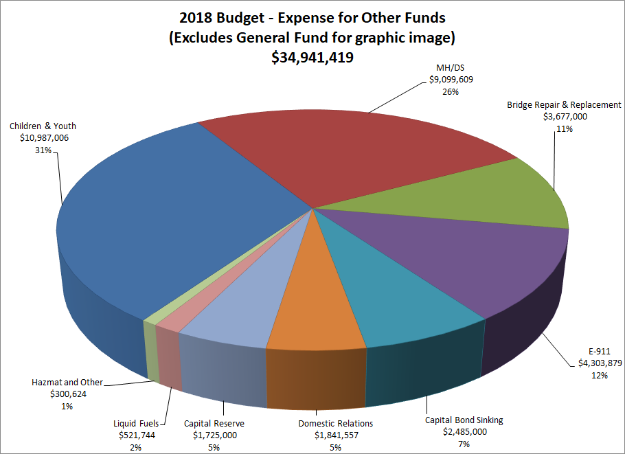 Pie Chart: Expense for Other Funds